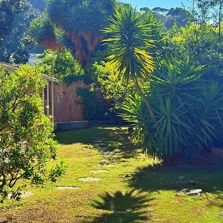 Bed & Breakfast Giardino Archeologico Sorrento